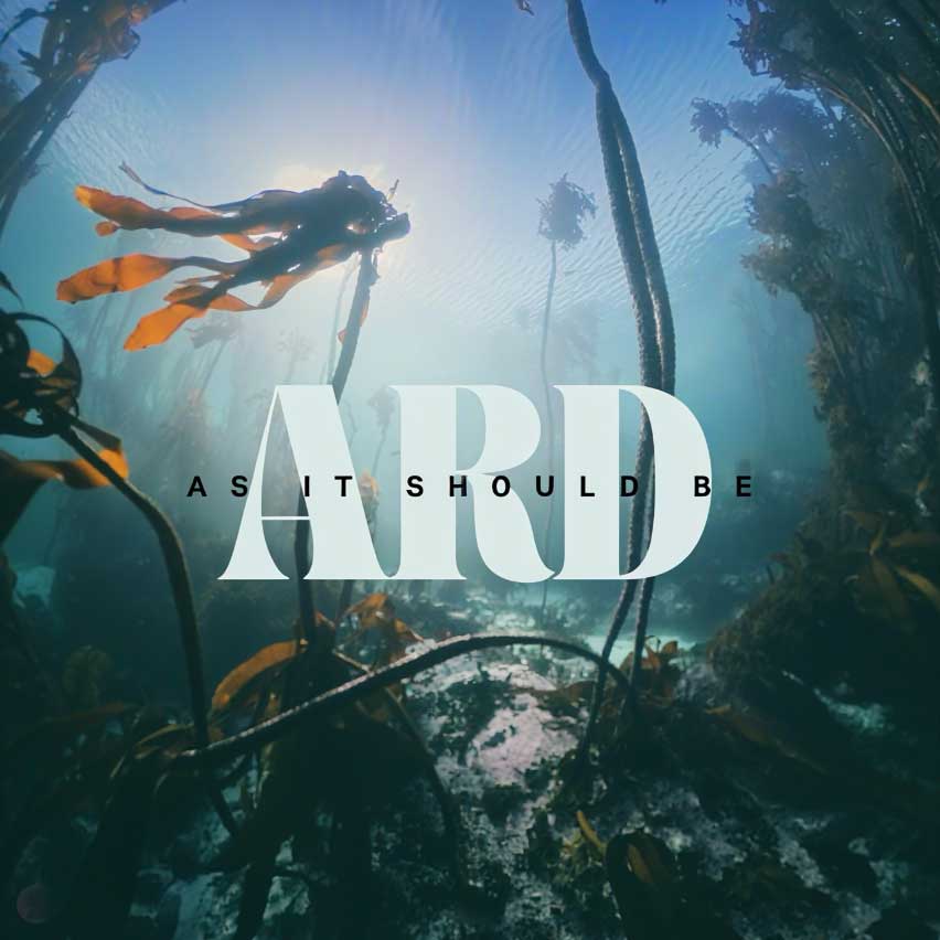 As It Should Be album cover by ARD matthews